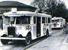 Hvite busser fra krigens dager!