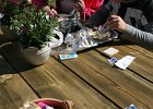 IMG 7893