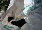 IMG 7895