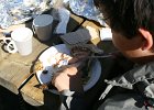 IMG 7901