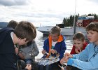 IMG 7914
