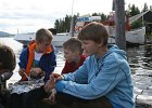 IMG 7915