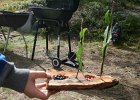 IMG 7918