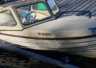 IMG 7937
